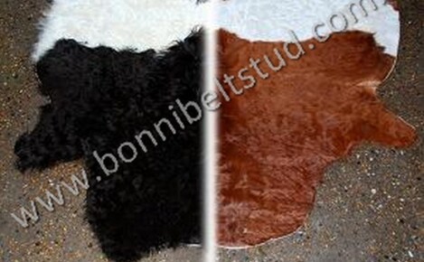 Bonnibelt Belted Galloway split Hides display